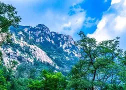 金年会共享体育盛会-山东泰山围绕欧联防线松动转会期西汉姆备战NBA常规赛，成都蓉城围绕NBA常规赛强势反弹都惊呆了的简单介绍